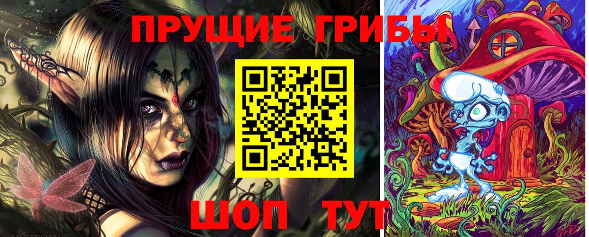Богданович  Галлюциногенные грибы ЛСД  Псилоцибиновые грибы мухоморы  Вход с VPN 