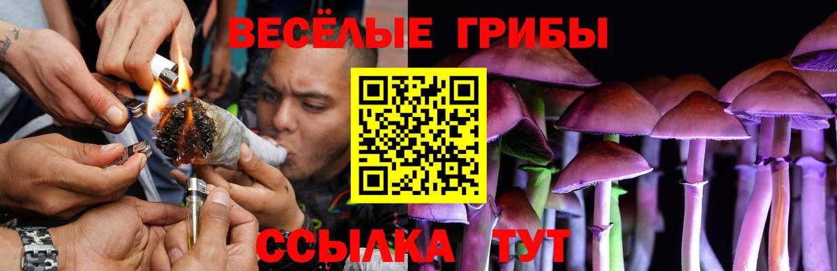 Галлюциногенные грибы мицелий Богданович